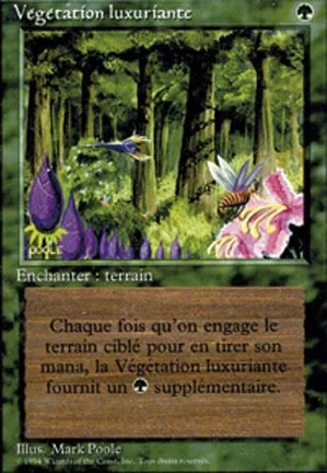 Végétation luxuriante