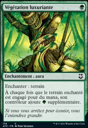 Végétation luxuriante