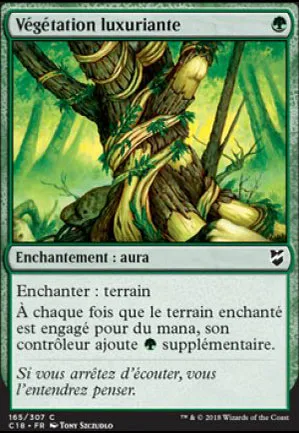 Végétation luxuriante