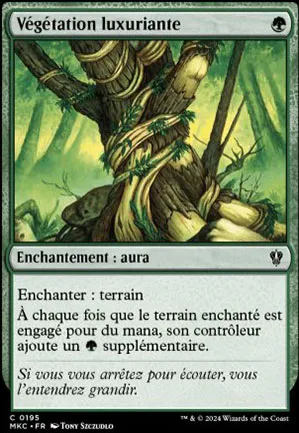 Végétation luxuriante