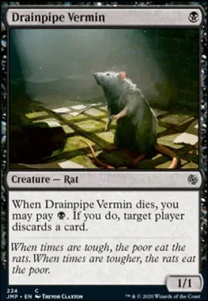 Vermine des évacuations