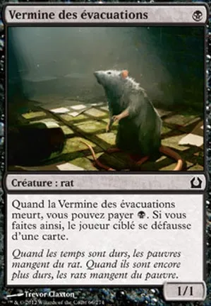 Vermine des évacuations