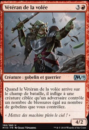 Vétéran de la volée