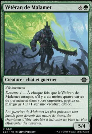 Vétéran de Malamet