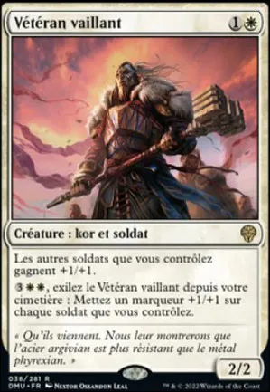 Vétéran vaillant