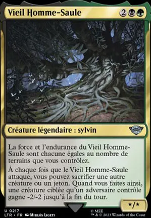 Vieil Homme-Saule