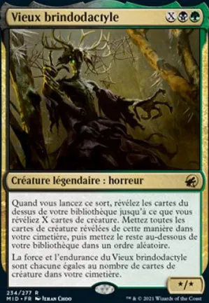 Vieux brindodactyle
