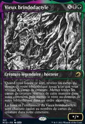 Vieux brindodactyle