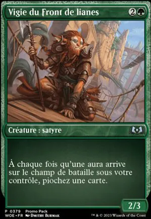 Vigie du Front de lianes