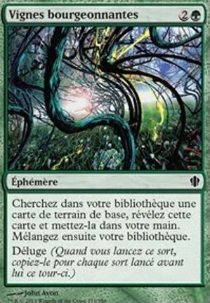 Vignes bourgeonnantes