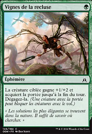 Vignes de la recluse