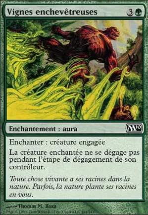 Vignes enchevêtreuses