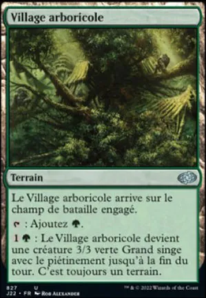 Village arboricole