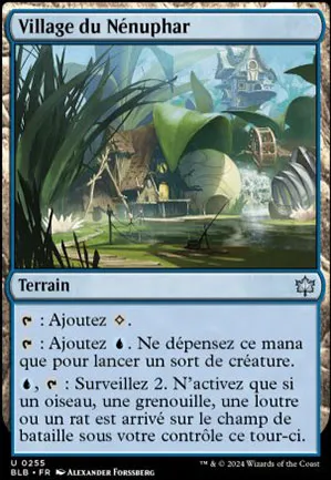 Village du Nénuphar