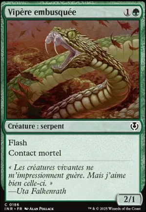 Vipère embusquée