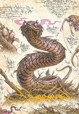 Vipère putregueule - Illustration
