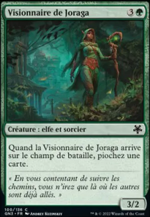Visionnaire de Joraga
