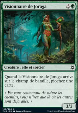 Visionnaire de Joraga