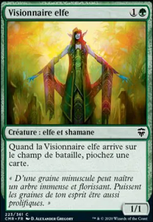 Visionnaire elfe