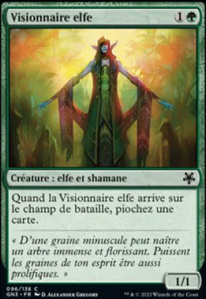 Visionnaire elfe