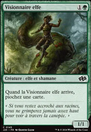 Visionnaire elfe