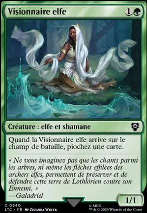 Visionnaire elfe
