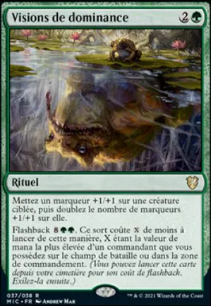 Visions de dominance