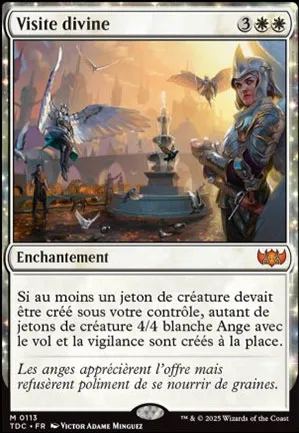 Visite divine