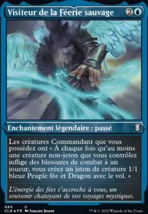 Visiteur de la Féerie sauvage