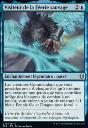 Visiteur de la Féerie sauvage
