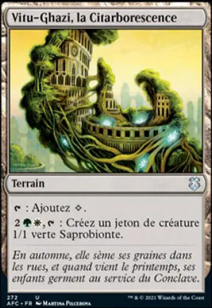 Vitu-Ghazi, la Citarborescence