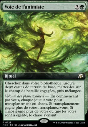 Voie de l'animiste