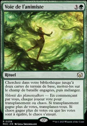 Voie de l'animiste