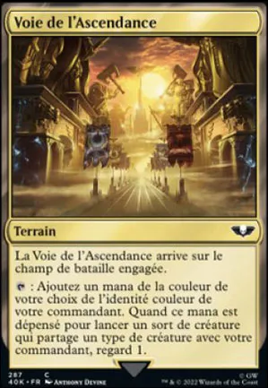 Voie de l'ascendance