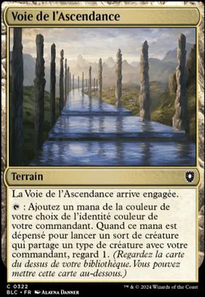 Voie de l'ascendance