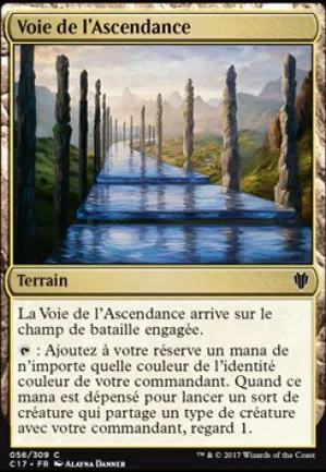Voie de l'ascendance
