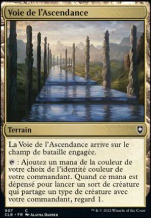 Voie de l'ascendance
