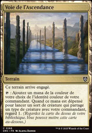 Voie de l'ascendance