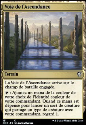 Voie de l'ascendance