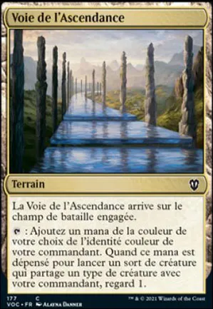 Voie de l'ascendance