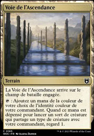 Voie de l'ascendance