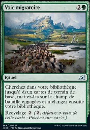 Voie migratoire