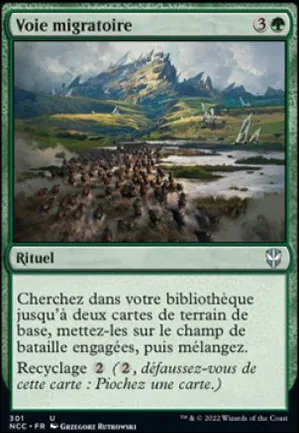 Voie migratoire
