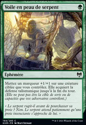 Voile en peau de serpent