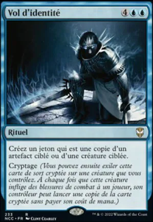 Vol d'identité