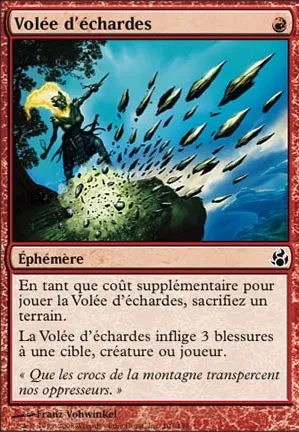 Volée d'échardes