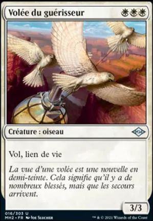 Volée du guérisseur