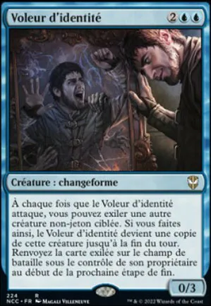 Voleur d'identité
