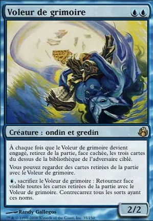 Voleur de grimoire