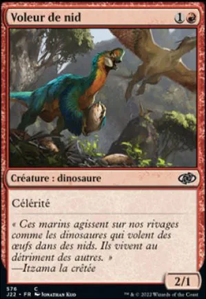 Voleur de nid
